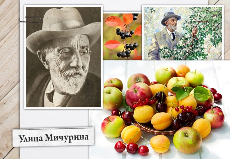 Улица Мичурина
