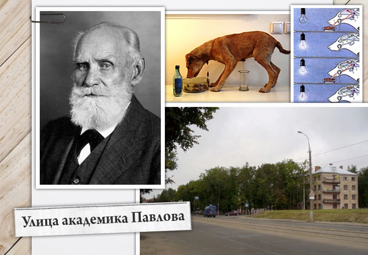 Улица Академика Павлова
